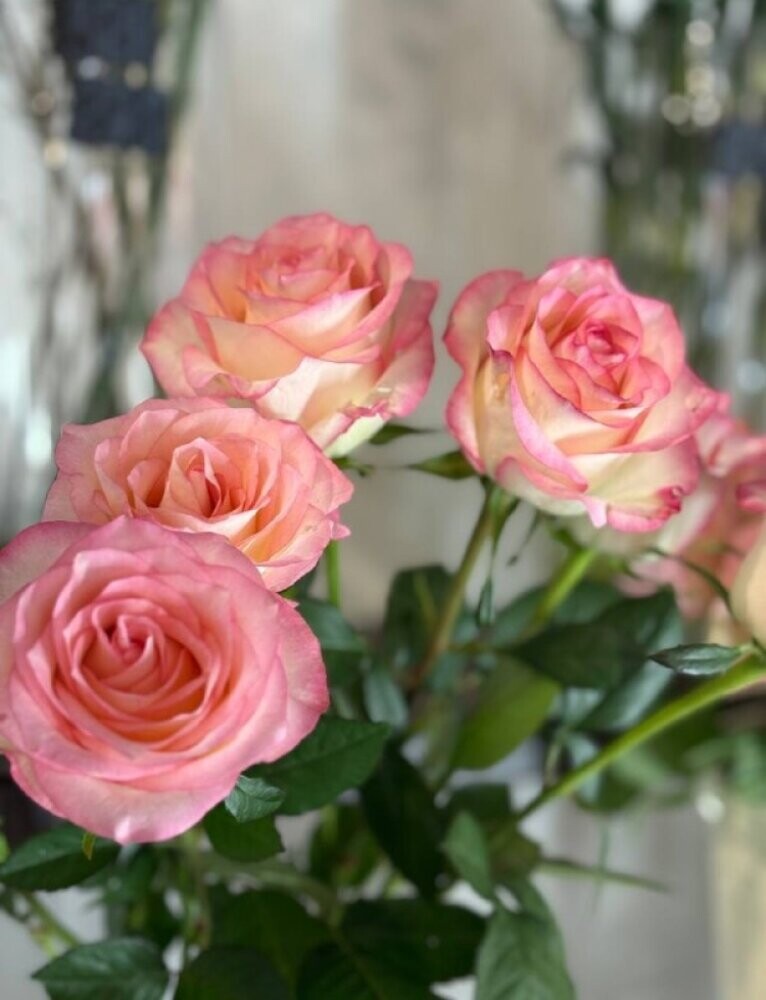 Цветы разных видов