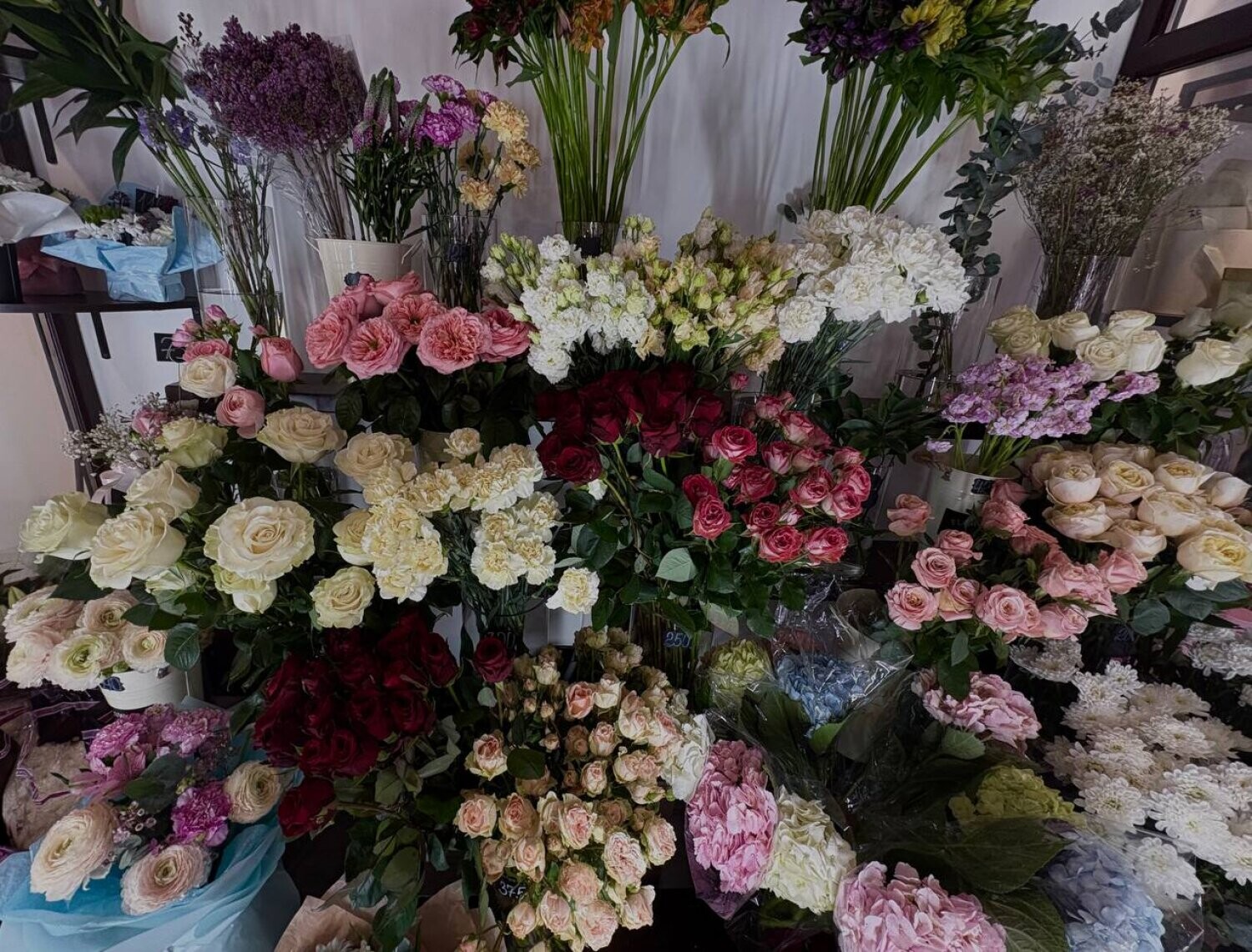 Свежие цветы