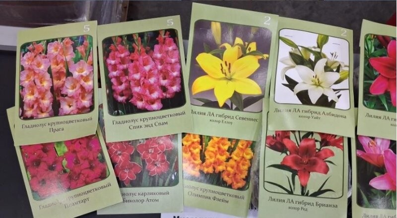 Многолетние цветы 