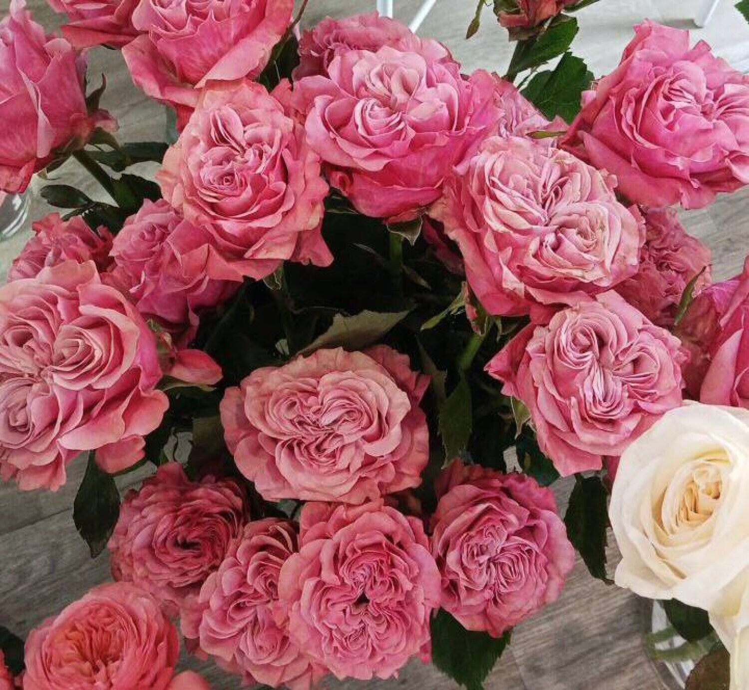 Поступление свежих цветов