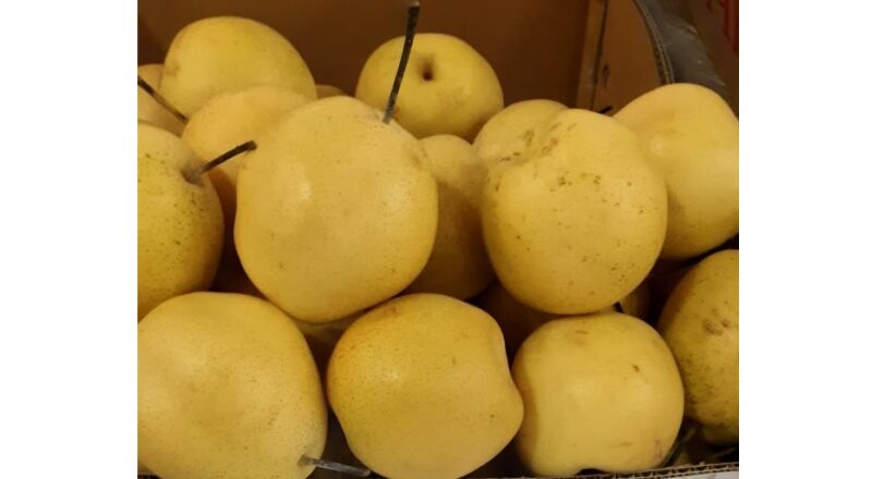 Груша «Яблочная»	