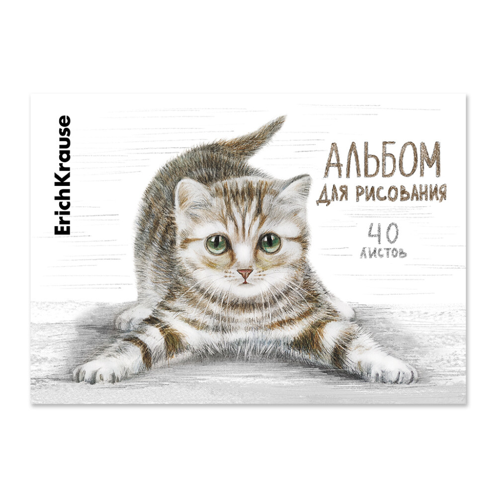 Альбом 40л клеевое крепл.  Tabby  ErKr
