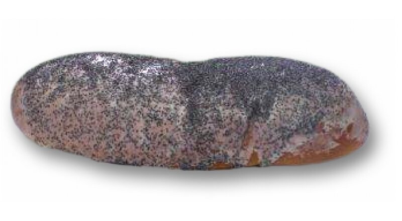 Маковый рулет