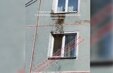 Рой пчел атаковал квартиру в Новокузнецке
