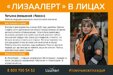 «ЛизаАлерт» в лицах.