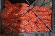 Больше 100 тонн овощей из регионов Средней Азии попали в магазины Кузбасса