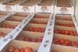 Очередная партия овощей из Средней Азии попала на прилавки Кузбасса