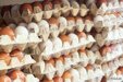 Кузбасс показал, кто главный по яйцам в Сибири