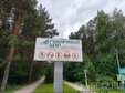 Кузбасские власти велели безжалостно уничтожать ячмень, подорожник и ещё 13 растений