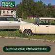 Специалисты Госавтоинспекции, администрации и Управления по благоустройству, транспорту и связи провели «Зелёный рейд».