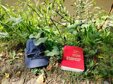 ️ Отпуск - лучшее время, чтобы принять участие в акции «Моё лето с книгой»