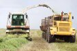 Наши аграрии активно заготавливают корма на предстоящий сезон.