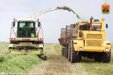 Аграрии Кузбасса заготовили более трети объема кормов на предстоящий сезон
