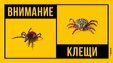 Кузбасс атакуют зараженные клещи