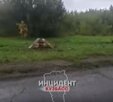 Жуткое падение парня в люк в Кемерове обернулось статьёй - дошло до Бастрыкина
