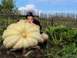 Гигантскую тыкву из Кемерова выставят на ВДНХ в Москве