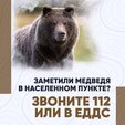 В связи с участившимися случаями появления медведей соблюдайте меры предосторожности