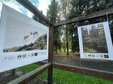 На выставочной площади у ДК «Распадский» открыли фотовыставку «Эхо таёжного края»!