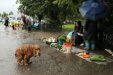 Мерзкая слякоть испортит кузбассовцам тёплые выходные