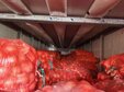 Кузбасс завалили луком из Казахстана