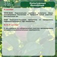 Представляем вашему вниманию афишу мероприятий